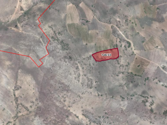 Satılık Çok Hesaplı Tarla Konya-Hadim- Selahattin  köyünde.