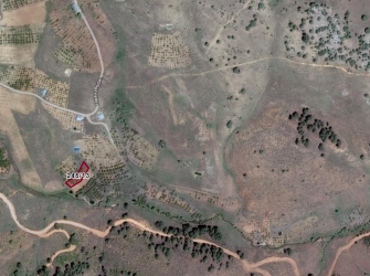 Doğanın Kalbinde Hobi Bahçesi