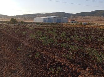 GÜNEYSINIRDA İMARLI ARSA 